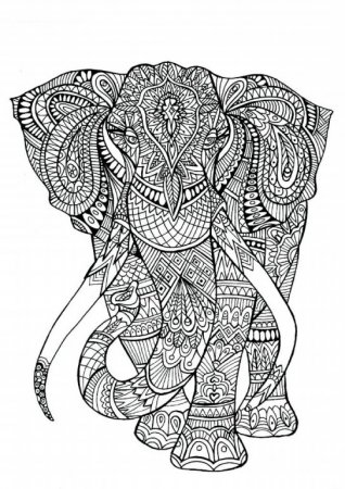 Зенарт слоны для вдохновения